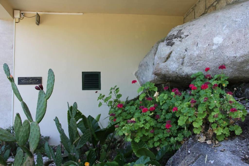Casa Quelha Da Presa Villa Espinho  Exterior photo